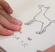 Hand reading braille words "dog bark"