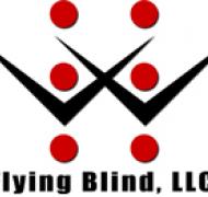 Flying Blind logo