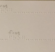 Frog in braille