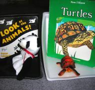 Image of panda bear and turtle with books