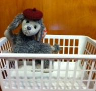 stuffed animal in a small basket