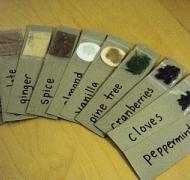 Cards with names of different scents on them