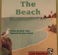 Cover of The Beach