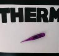 THERM in black letters on a white background with a thermometer attached to it