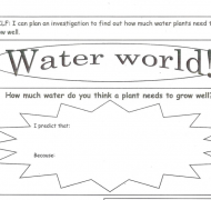 Original Water World worksheet