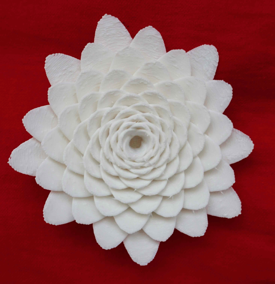 3D Flower