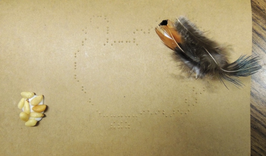 braille art with chicken feathers