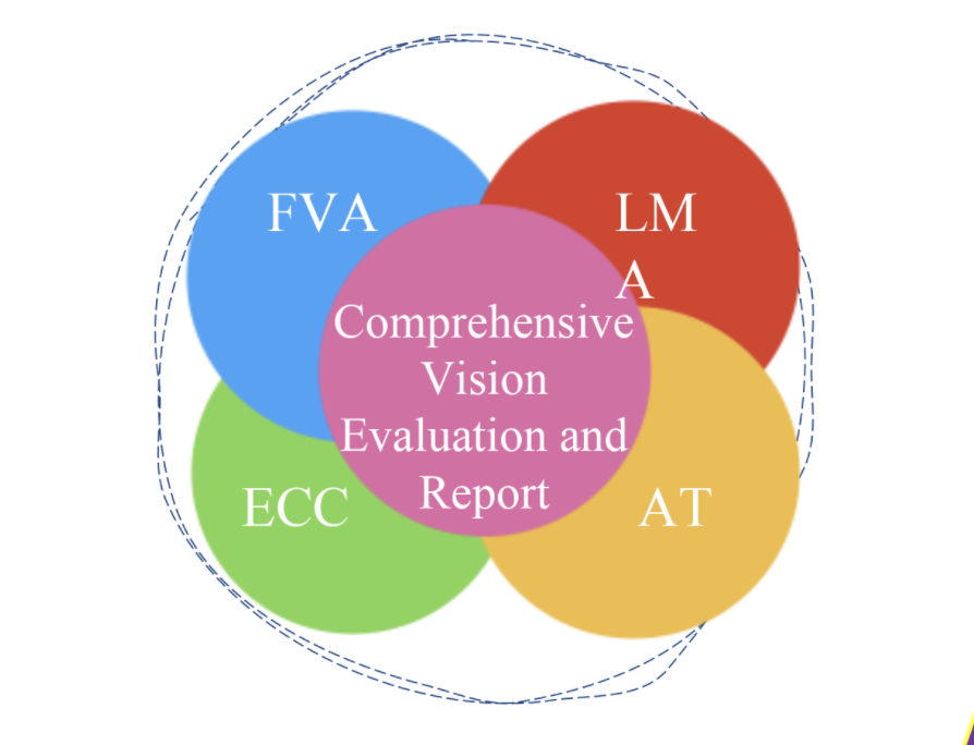 FVA LMA AT ECC Comprehensive Evaluation and Reports diagram
