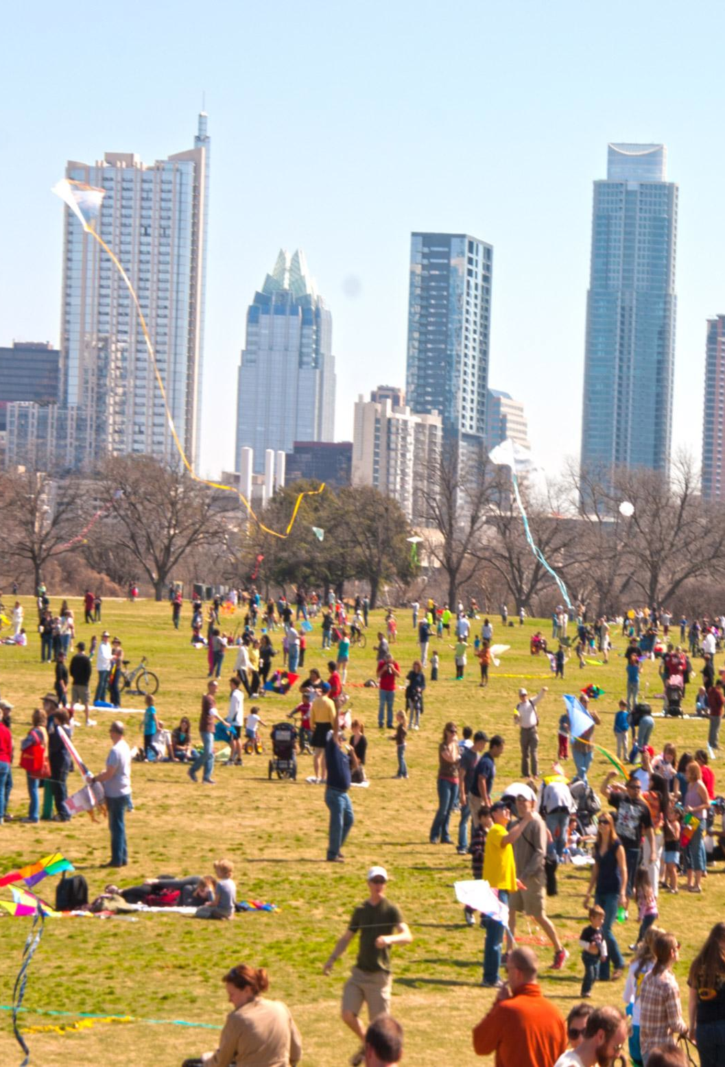 park with buildings in the background