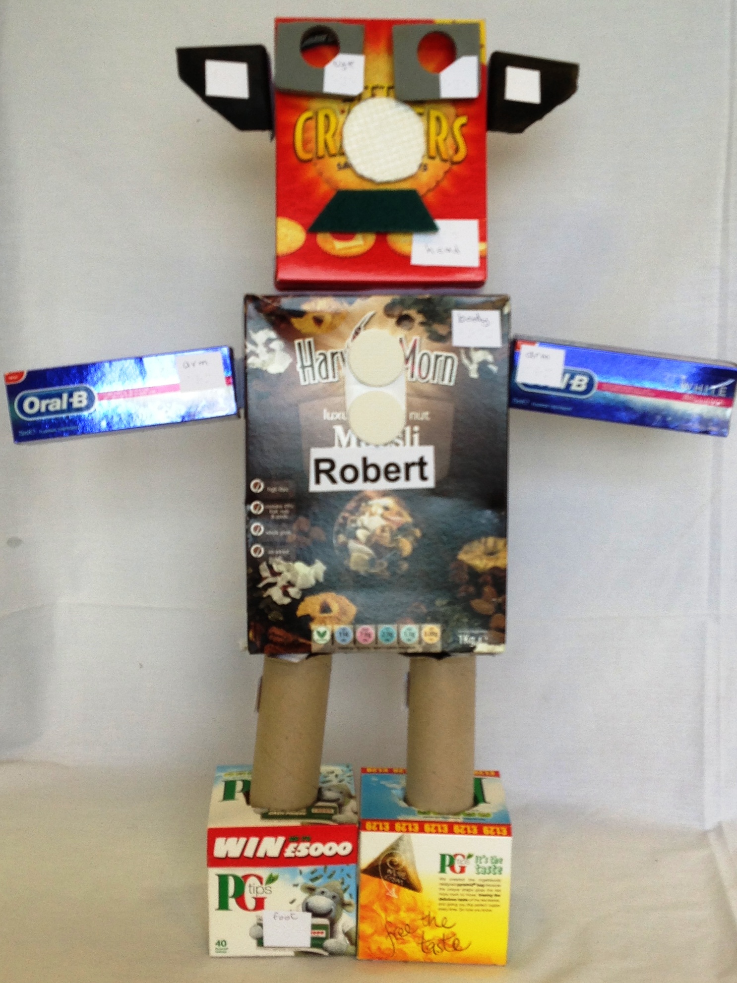 Robert the Robot