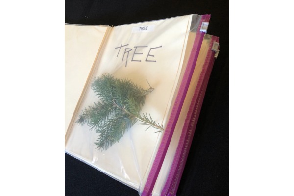 Page of Baggie Book with tree