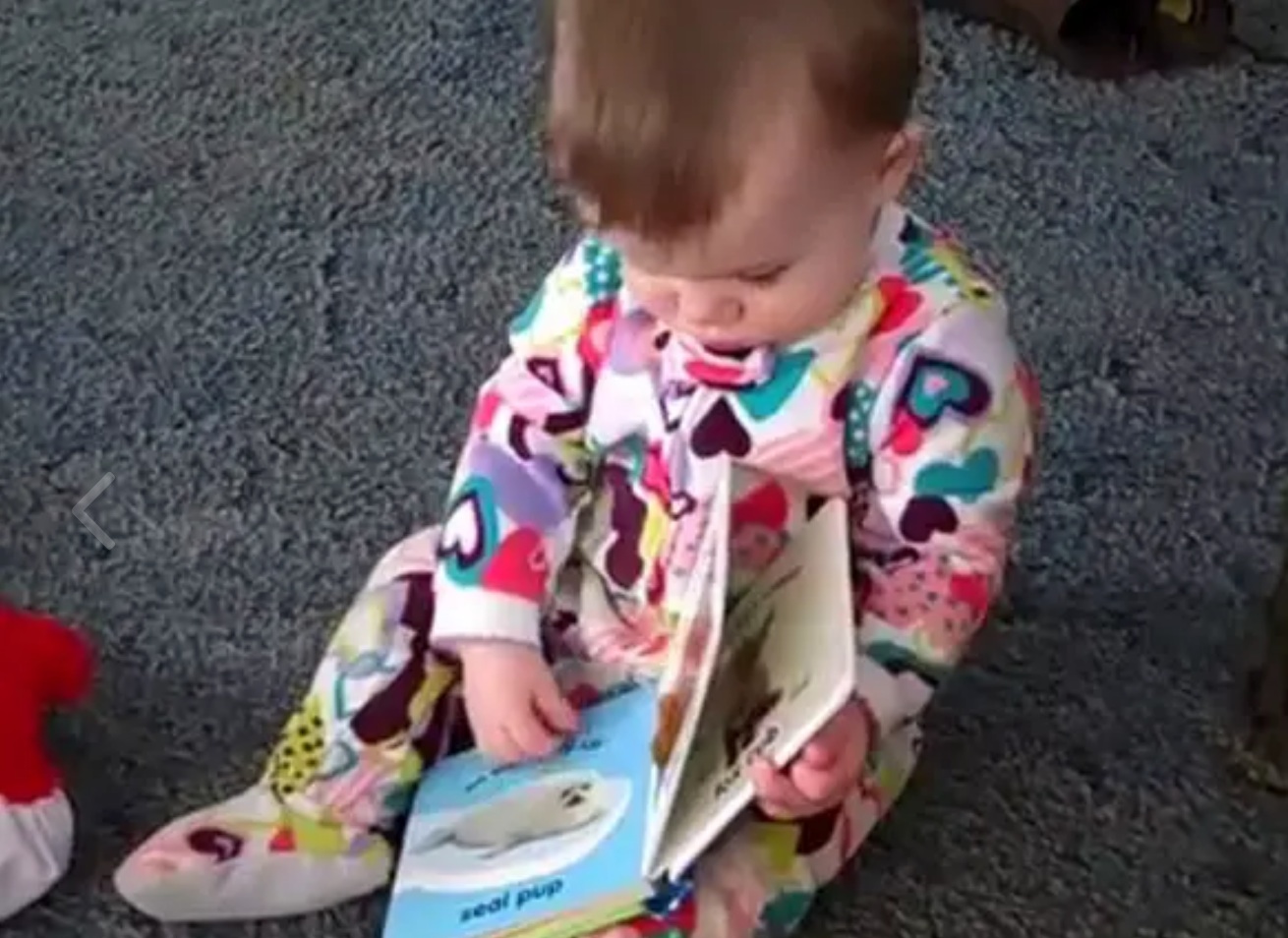 A toddler handling a board book