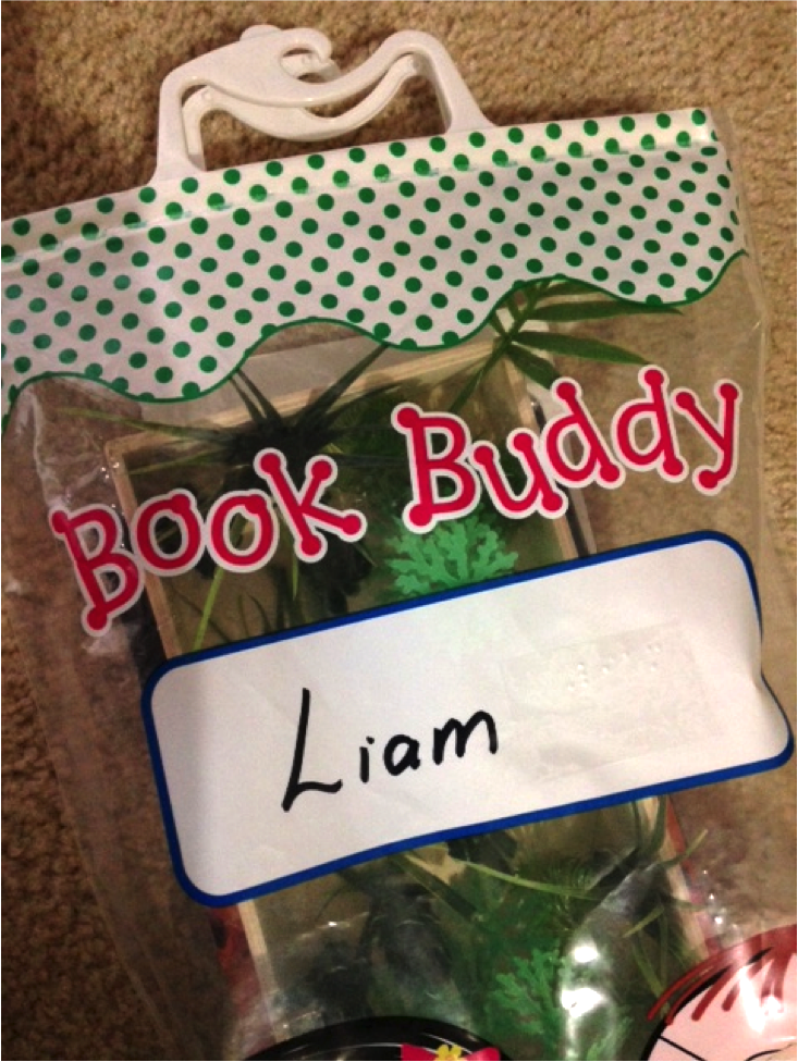book buddy bag with liam's name on it