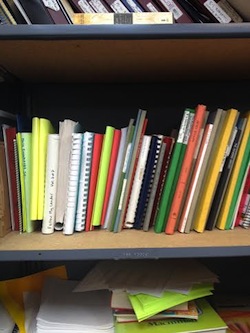 books lined up on a shelf