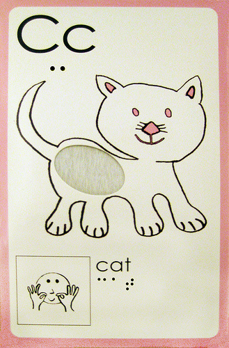 Alphabet card with print, braille, sign and textures -- Letter C for Cat