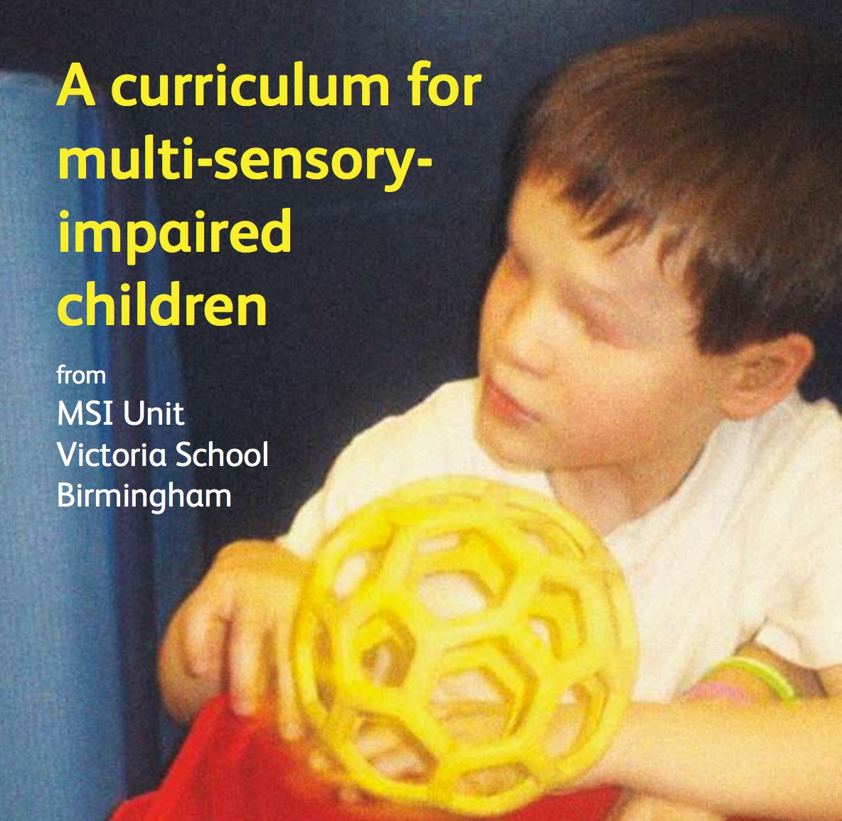 Cover of Curriculum for multi-sensory-impaired children
