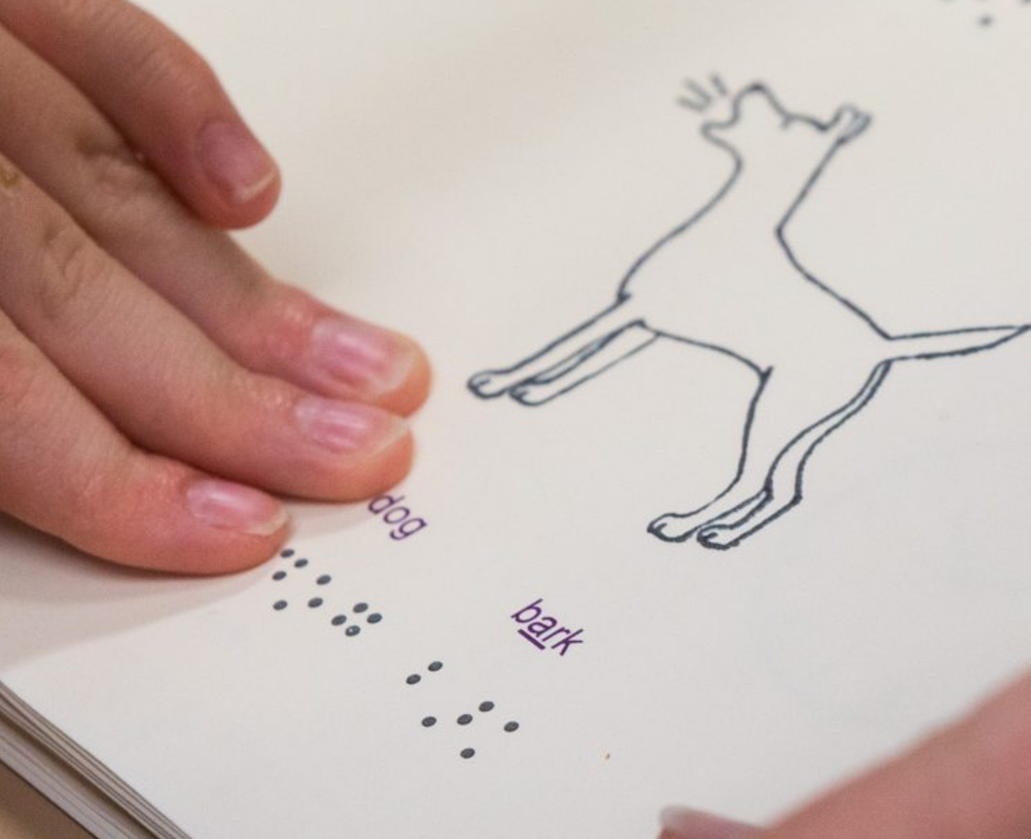 Hand reading braille words "dog bark"