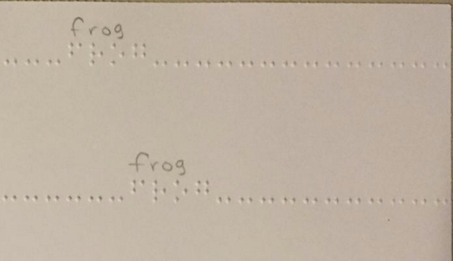 Frog in braille