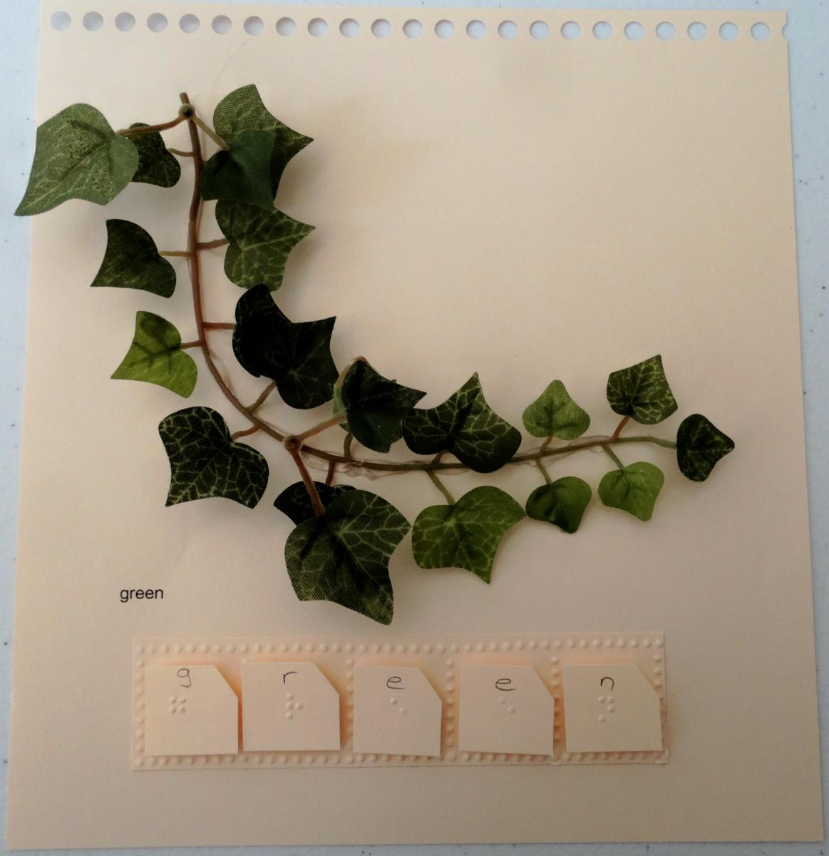 green leaves with braille letters spelling out g-r-e-e-n