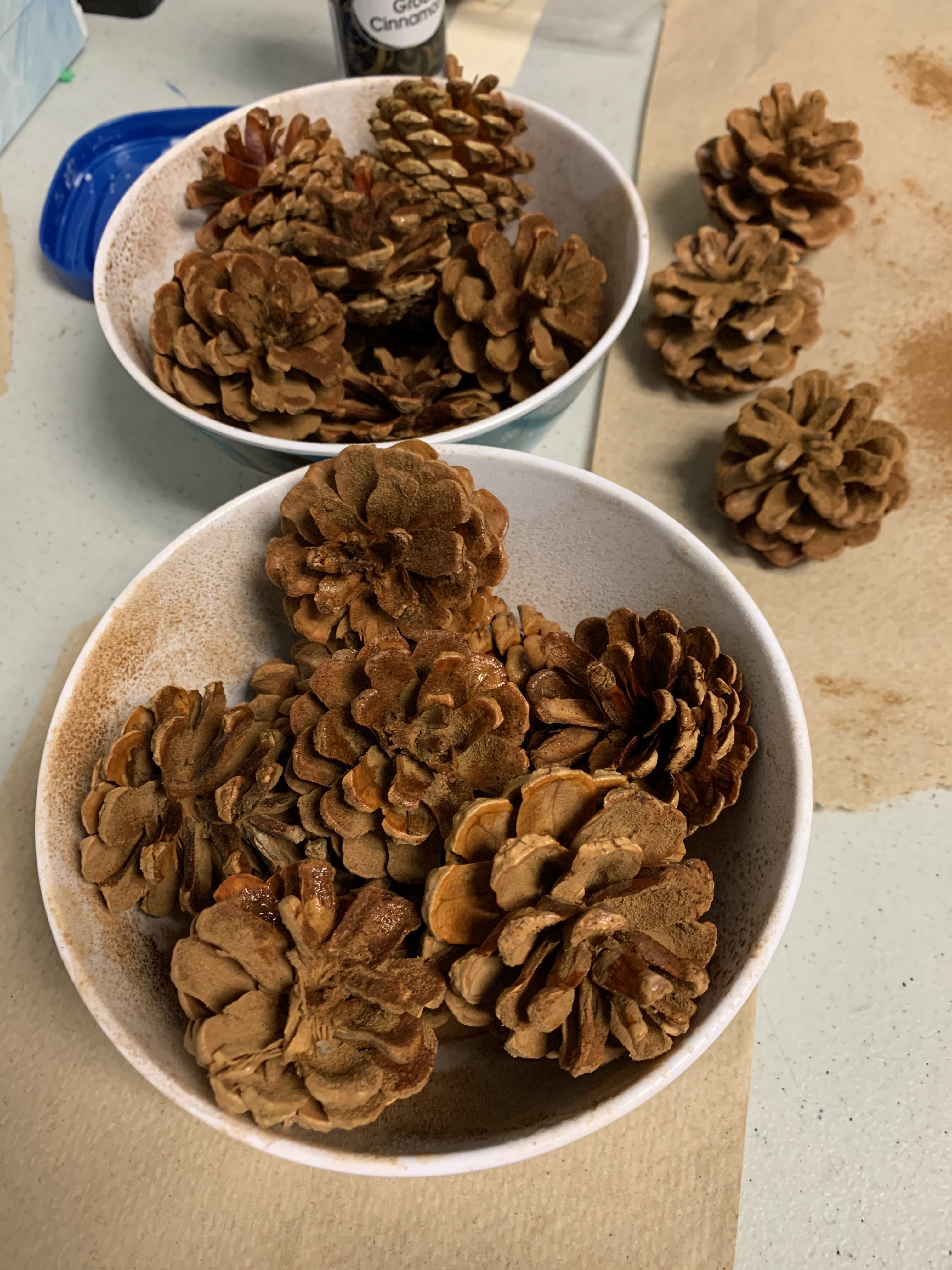 Bowls of pinecones with cinnamon