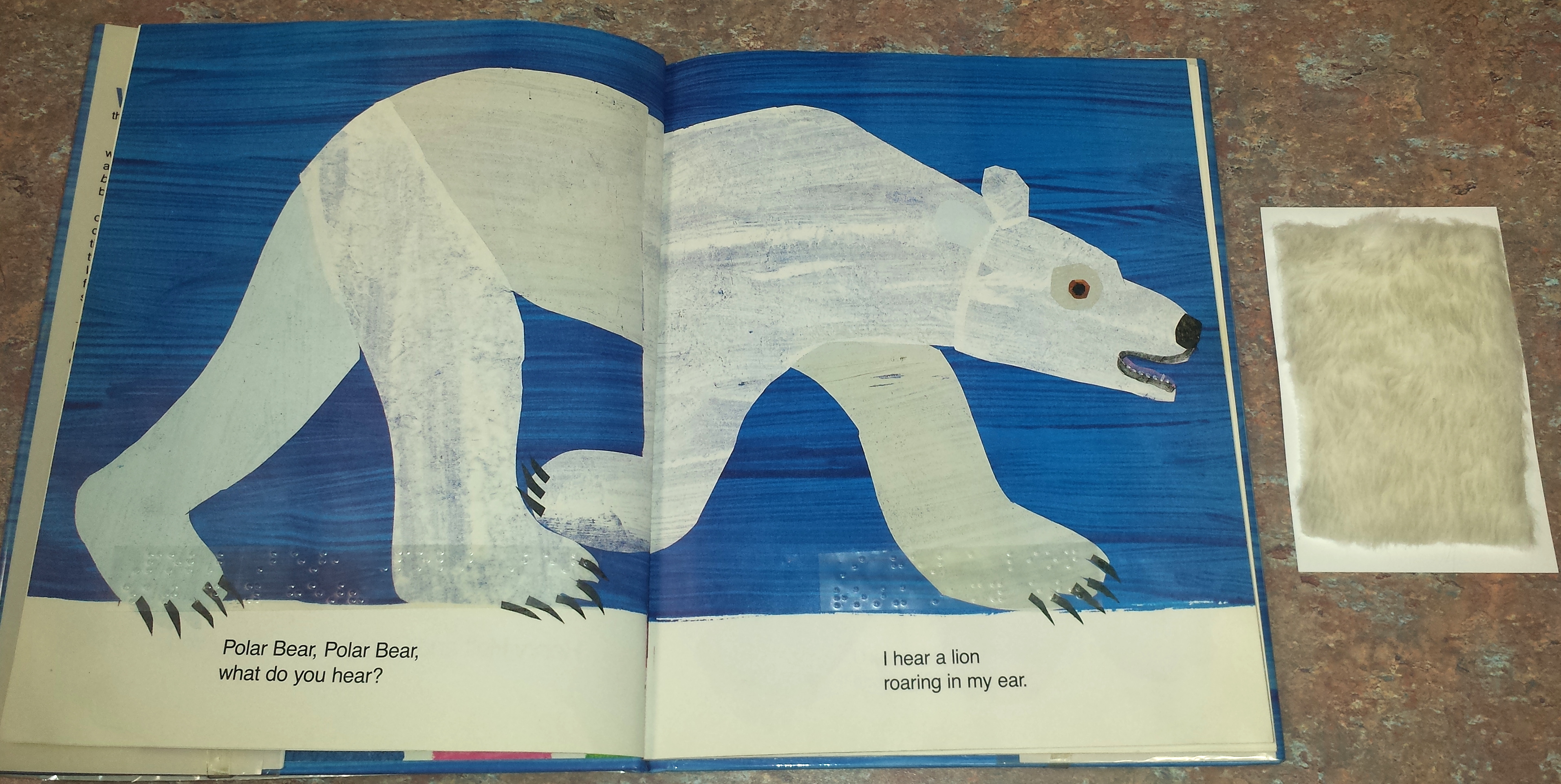 Polar bear page adapted with braille and tactile card