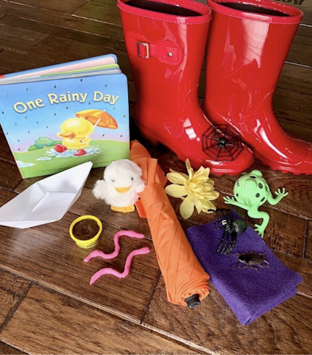 Rainy Day book with objects for story hour