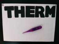 THERM in black letters on a white background with a thermometer attached to it