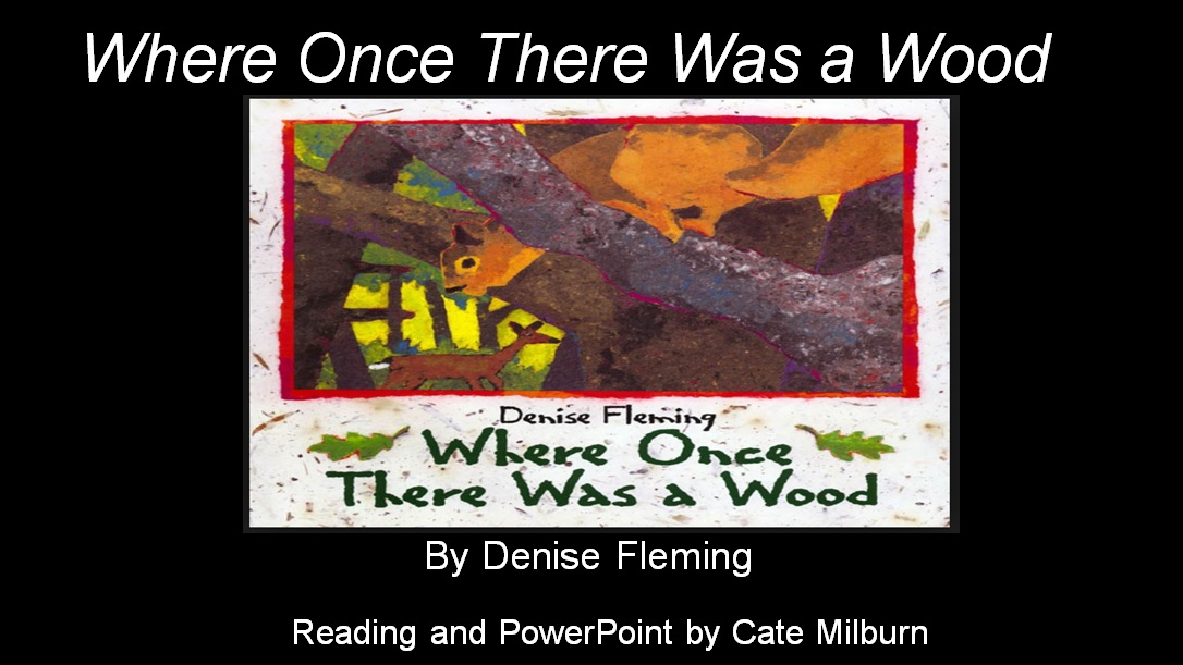 Cover of Where Once There Was a Wood